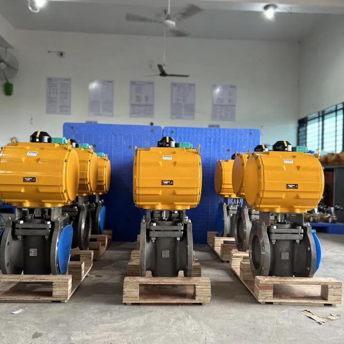 Valves Automation (11)